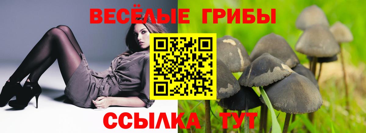 Галлюциногенные грибы Cubensis Маркс